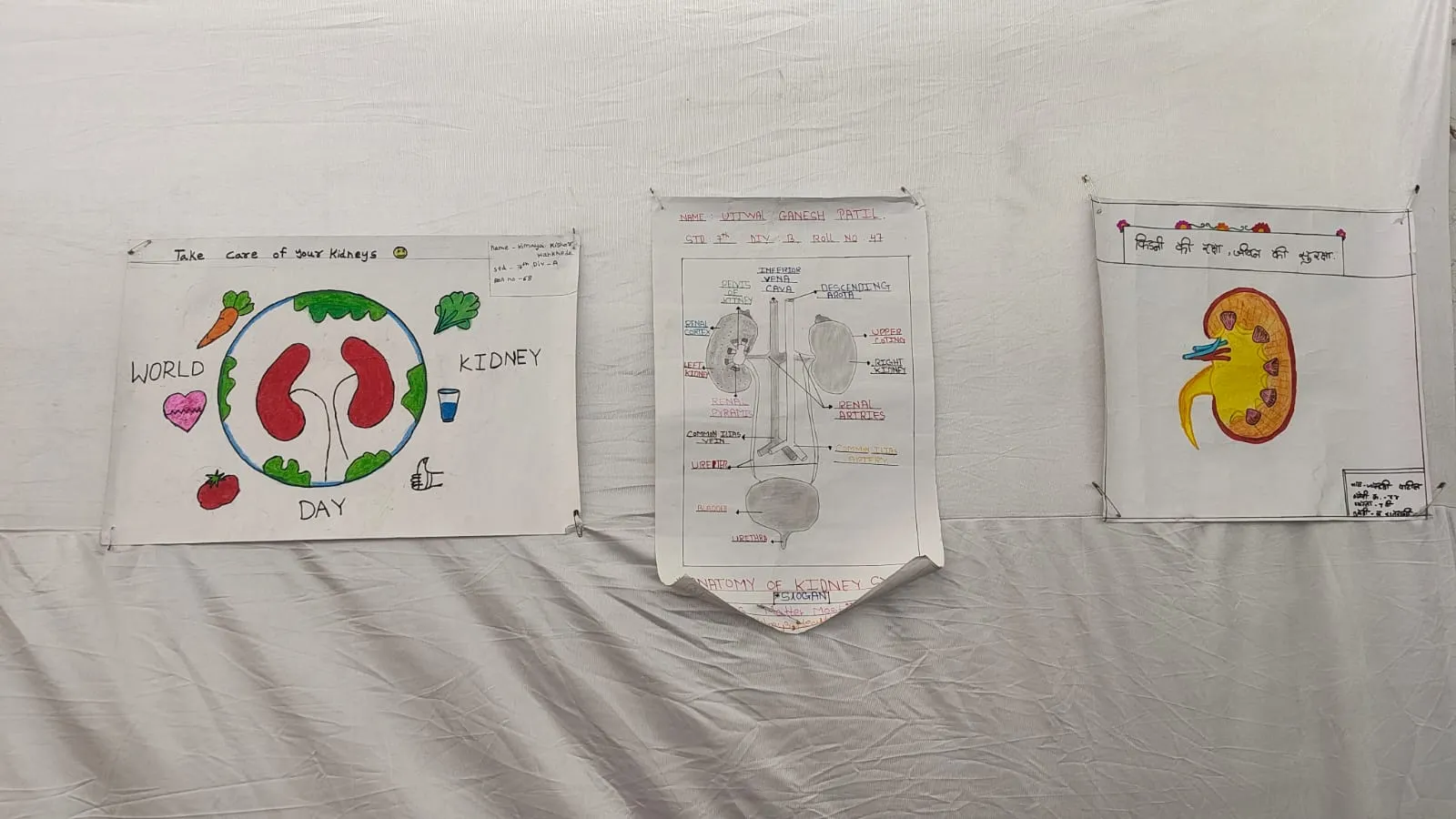 Arogyavar Bolu Kahi 2026 at Narayani Hospital
